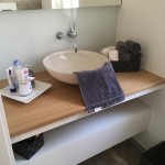 Gaeste WC Renovierung Spritzschutz aus Glas v2
